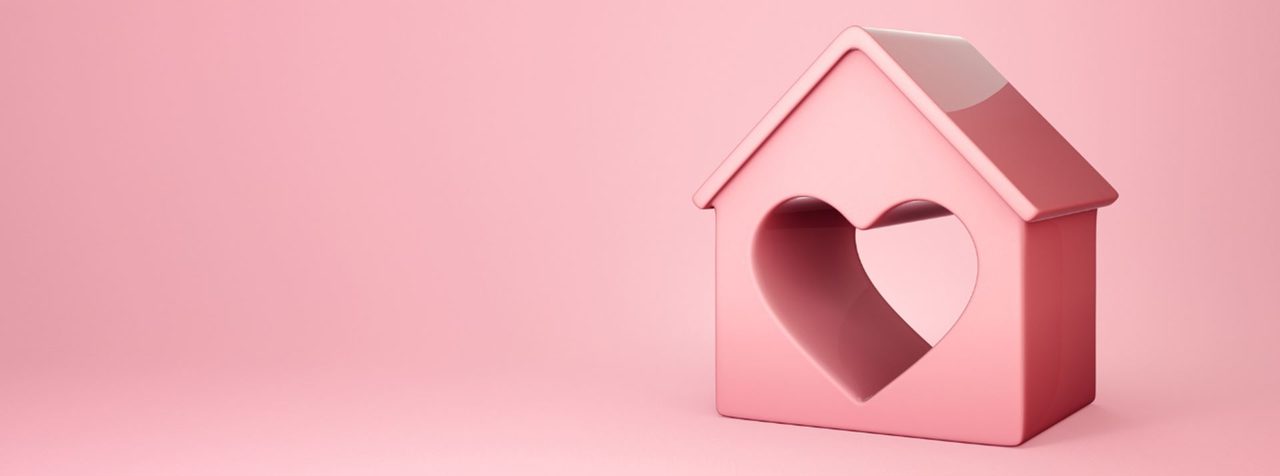 Projectbegeleiding — PINK Beheer Curaçao